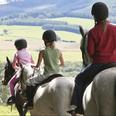 Family Horseriding