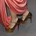 145. Celebrity shoes