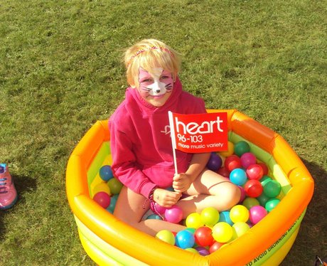 Bath Cats & Dogs Home Big Family Fun Day