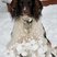 22. Your snowy pics