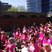 22. heart angels: race for Life (7) 22