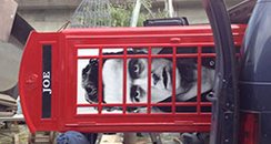bt artbox