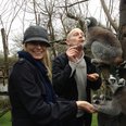 Matt & Caroline Lemurs