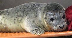 Cutest pictures of the week