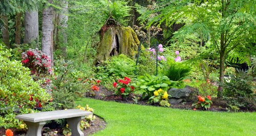 Garden