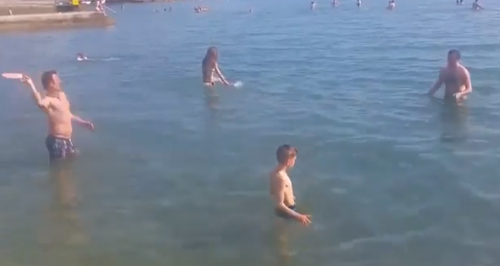 how to a to play frisbee how can it be here s how not to play frisbee how to a to play frisbee how can it be here s how not to play frisbee
