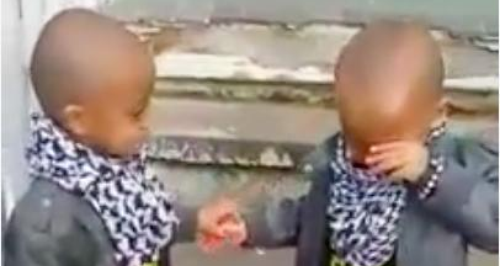 Twins jump the last step together