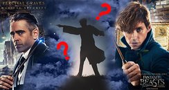 Fantastic Beasts Wizard Back 