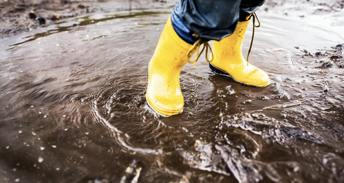 Six Weeks Of Rain In Twelve Hours