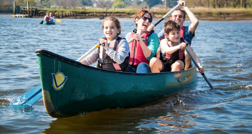 Hampshire Top Attractions: New Forest Activities